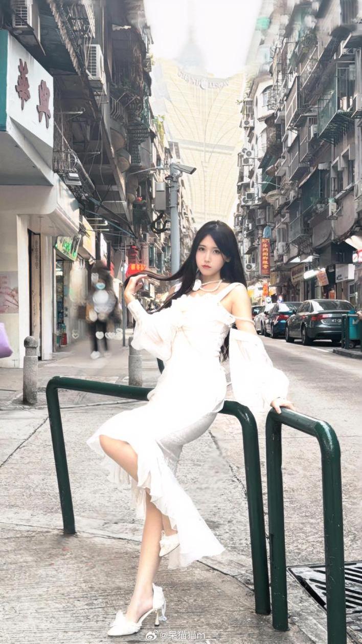 不呆猫高清图包，释放视觉上最美的真实表现-51acg