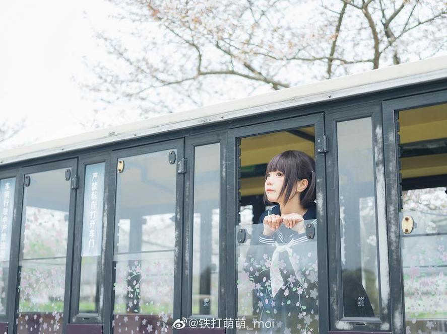王胖胖u图集购买：细节出众，华丽感十足的cosplay精选图包。-51acg