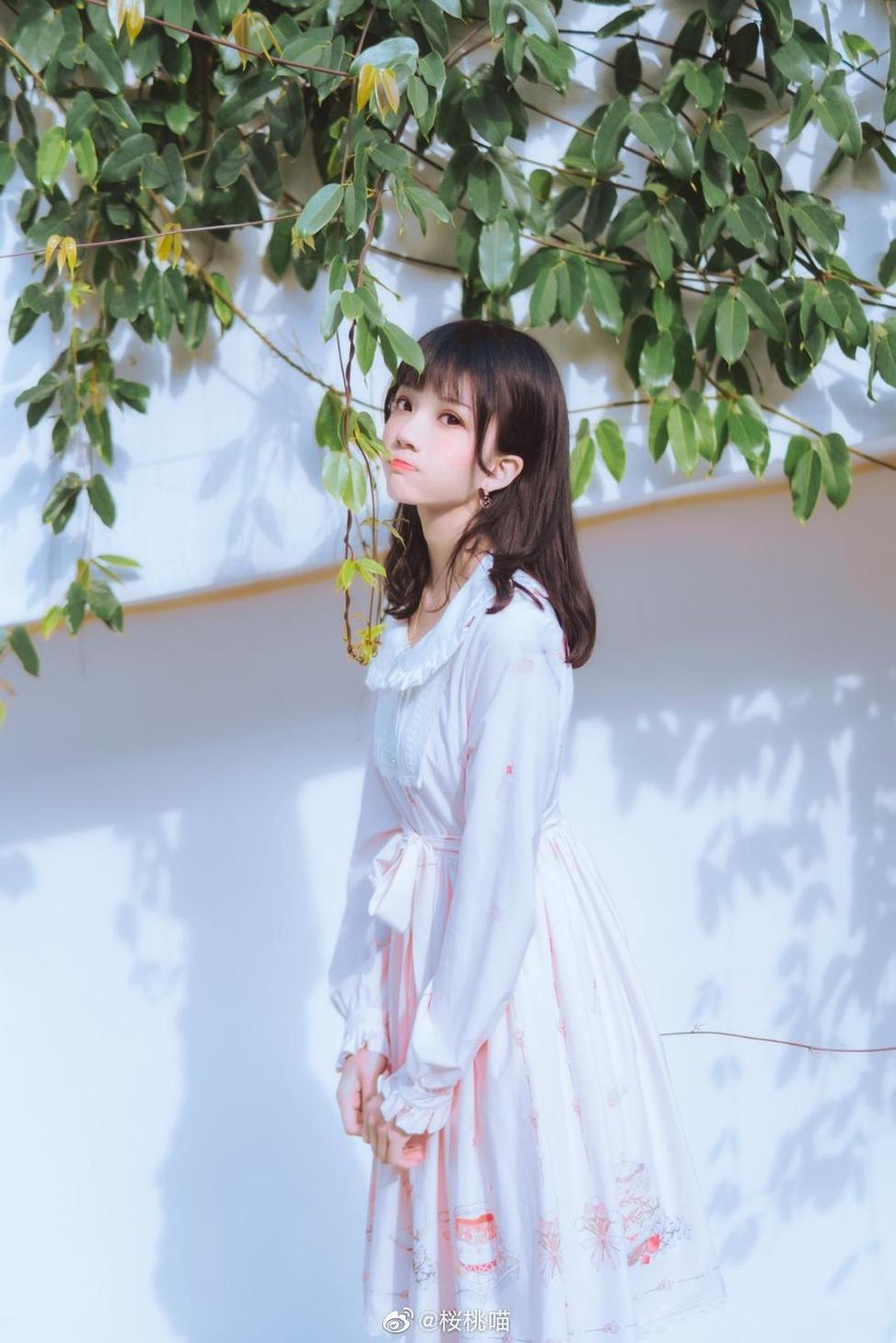 桜桃喵狼来了百度云，美图照片原图精选分享。-51acg