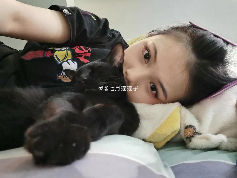 夏日美妆佳作，七月喵子挡腿壁纸代表完美-51acg