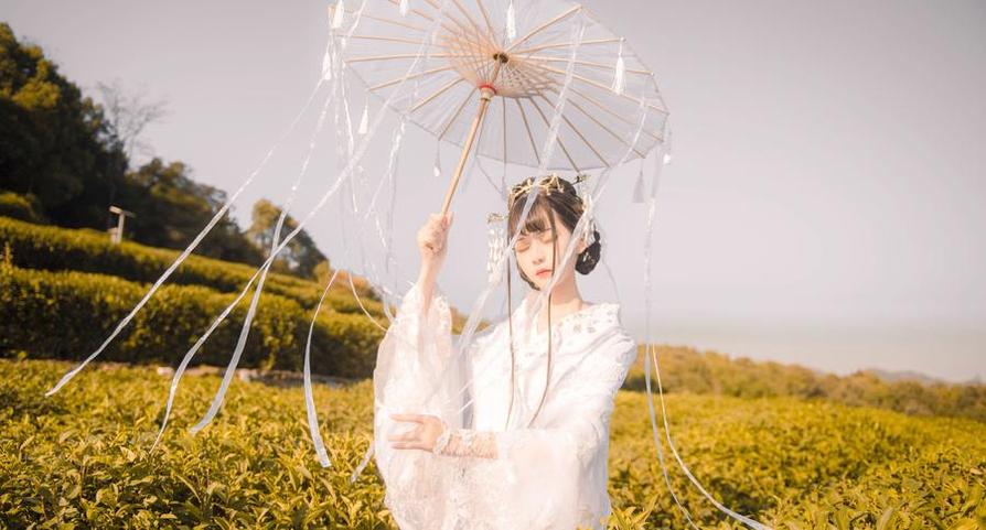 你的负卿圣人惠，图片摄影，定格如画永流传。-51acg