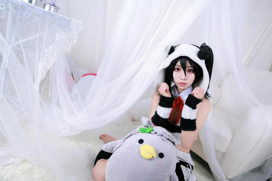 捕捉瞬间美：白易子教主日历摄影作品全景呈现-51acg
