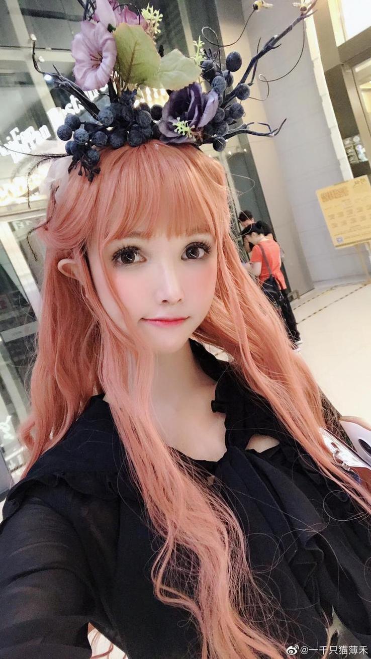 一千只猫薄禾fans大批优美原图分享-51acg