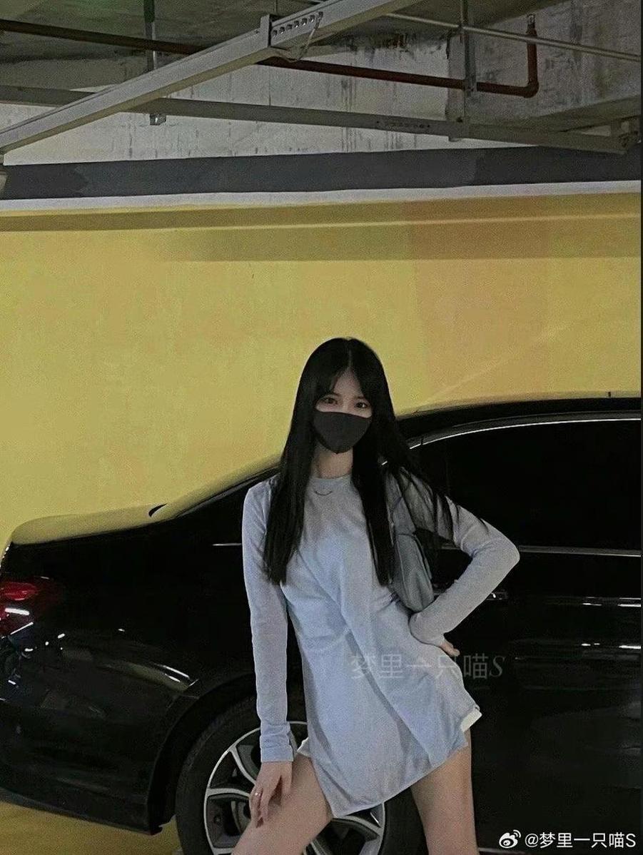 梦里一只喵图片：上百张美图，让你从现实中走进猫咪的世界-51acg