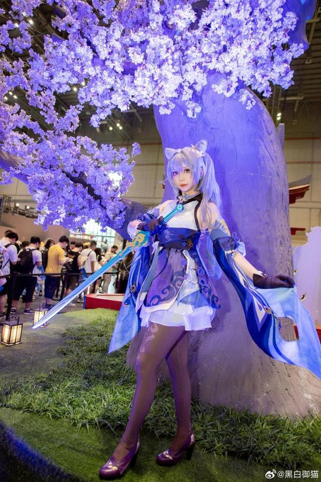 黑白御猫资源白猫，定制图包满足你对美的追求-51acg